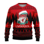 Unisex Wool Sweater Q091008